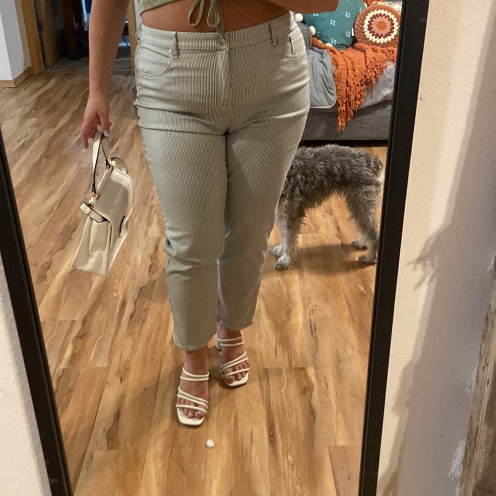 Chico’s / 16 (Size 3) / Railroad Striped So Slimming Girlfriend Ankle Jeans